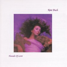  Cover of 1985's Hounds of Love